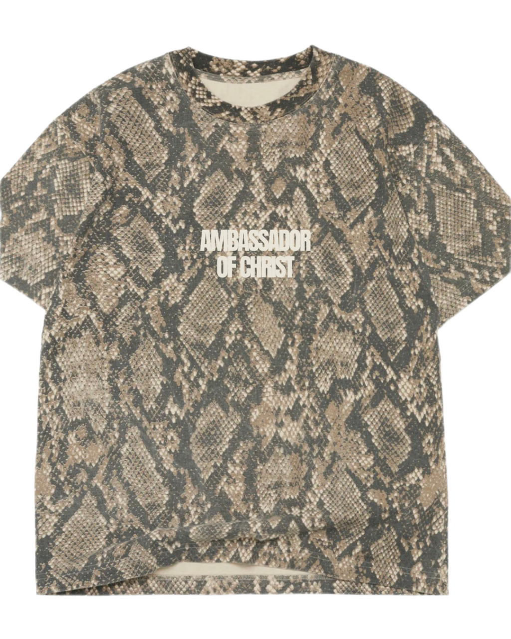 AMBASSADOR OF CHRIST TEE