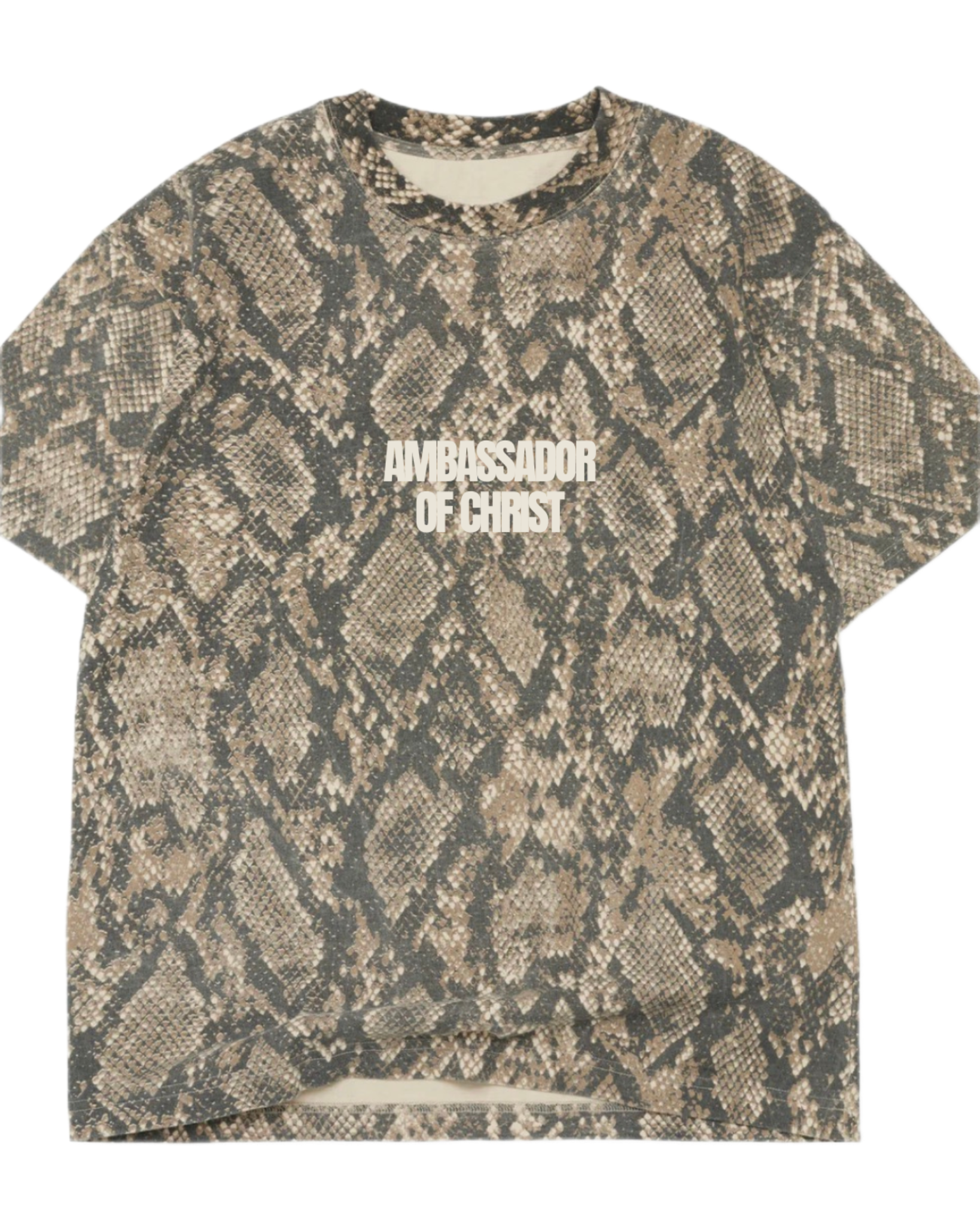 AMBASSADOR OF CHRIST TEE